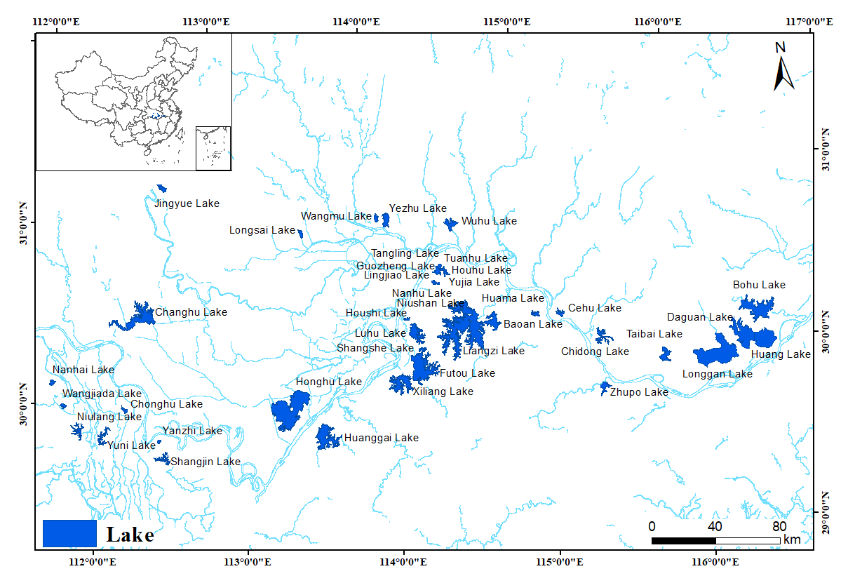 水生所提出新的統(tǒng)一模型揭示“魚類生產(chǎn)力—物種豐富度”關系的底層規(guī)律